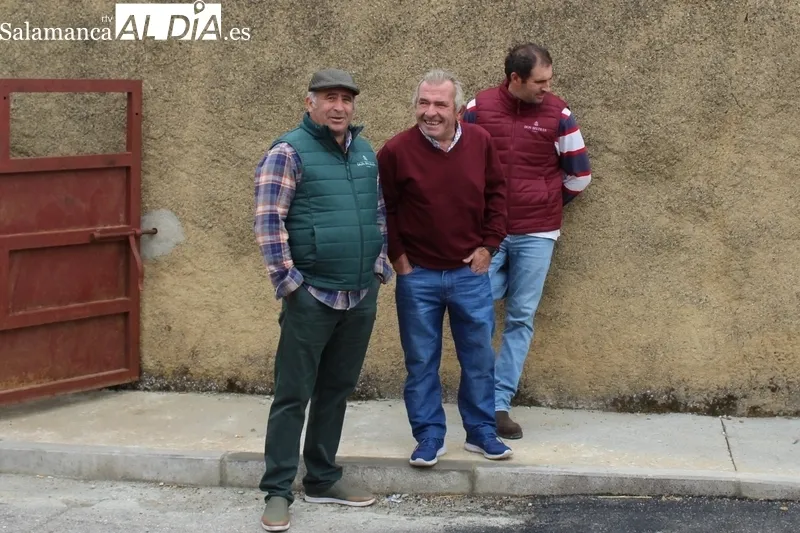 En el segundo encierro de Bañobárez se corieron tres vacas y un novillo al estilo tradicional / SILVESTRE  