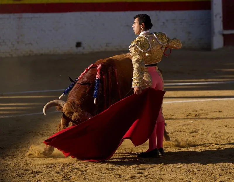 Imágenes de la final del certamen. Fotos: @CircuitoCyL