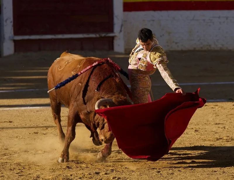Imágenes de la final del certamen. Fotos: @CircuitoCyL