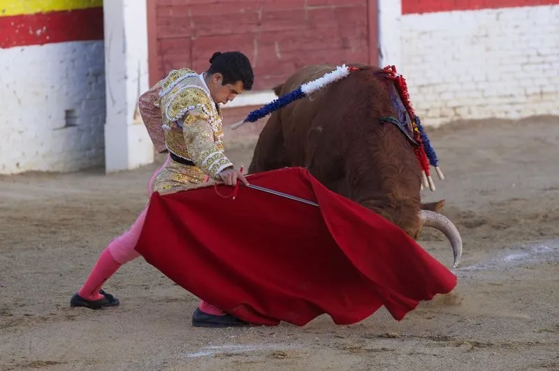 Imágenes de la final del certamen. Fotos: @CircuitoCyL