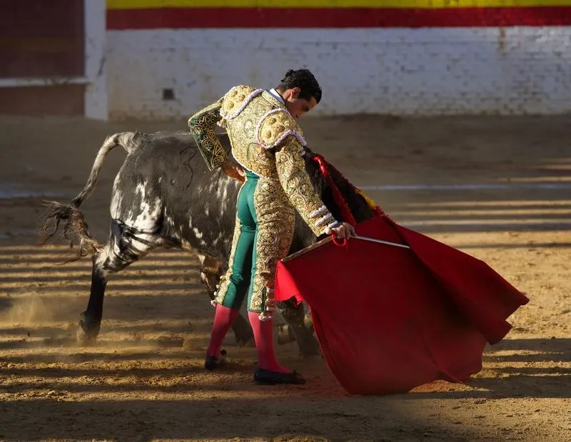 Imágenes de la final del certamen. Fotos: @CircuitoCyL