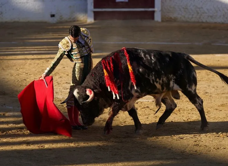Imágenes de la final del certamen. Fotos: @CircuitoCyL