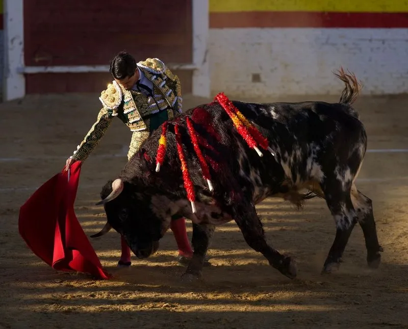 Imágenes de la final del certamen. Fotos: @CircuitoCyL