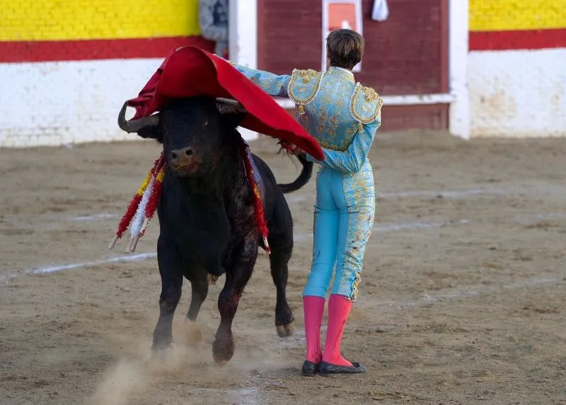 Imágenes de la final del certamen. Fotos: @CircuitoCyL