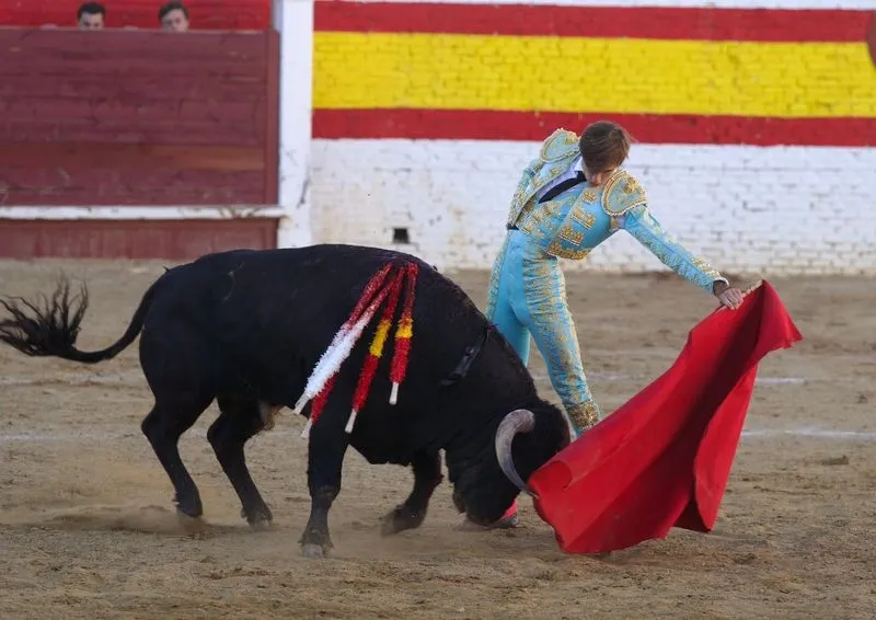 Imágenes de la final del certamen. Fotos: @CircuitoCyL