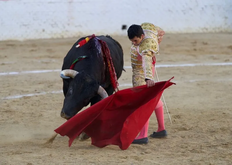 Imágenes de la final del certamen. Fotos: @CircuitoCyL