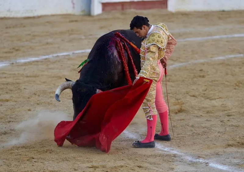 Imágenes de la final del certamen. Fotos: @CircuitoCyL