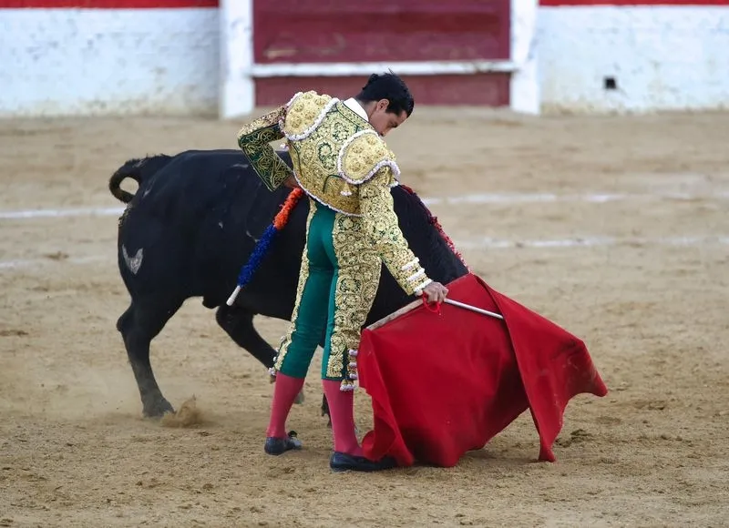 Imágenes de la final del certamen. Fotos: @CircuitoCyL