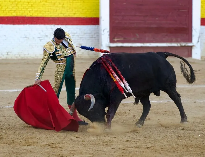 Imágenes de la final del certamen. Fotos: @CircuitoCyL