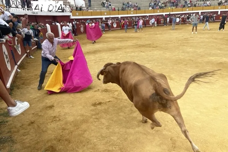 Foto 3 - Carreras, saltos y diversi&oacute;n para una festiva tarde de vaquillas en Macotera