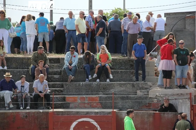 Primer encierro en las fiestas de Pereña de la Ribera / CORRAL