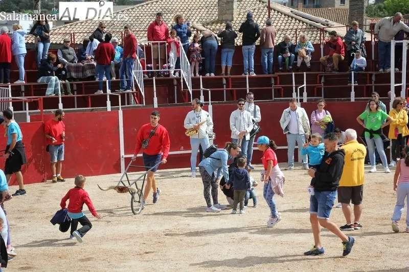 Accidentado segundo encierro de las fiestas de Barruecopardo / SÁNCHEZ Y CORRAL