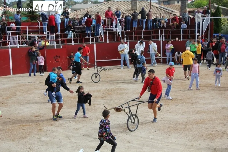 Accidentado segundo encierro de las fiestas de Barruecopardo / SÁNCHEZ Y CORRAL