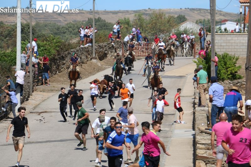 El Ayuntamiento de Barruecopardo ha apostado por los encierros a caballo tras la experiencia del pasado año / CORRAL