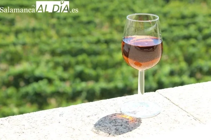 Moscatel de Favaios junto a las viñas que lo producen (Alto Douro, Portugal) MARTÍN-GARAY