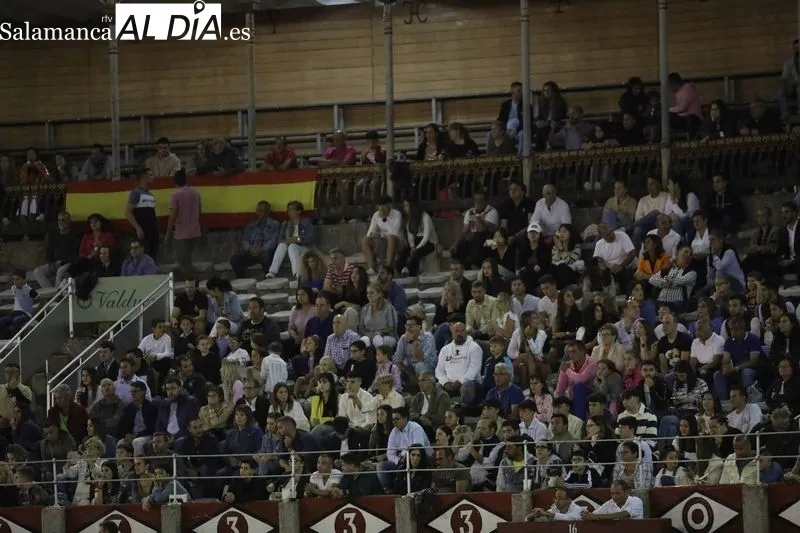 Foto 14 - El salmantino V&iacute;ctor Revesado, campe&oacute;n del concurso de recortes de La Glorieta