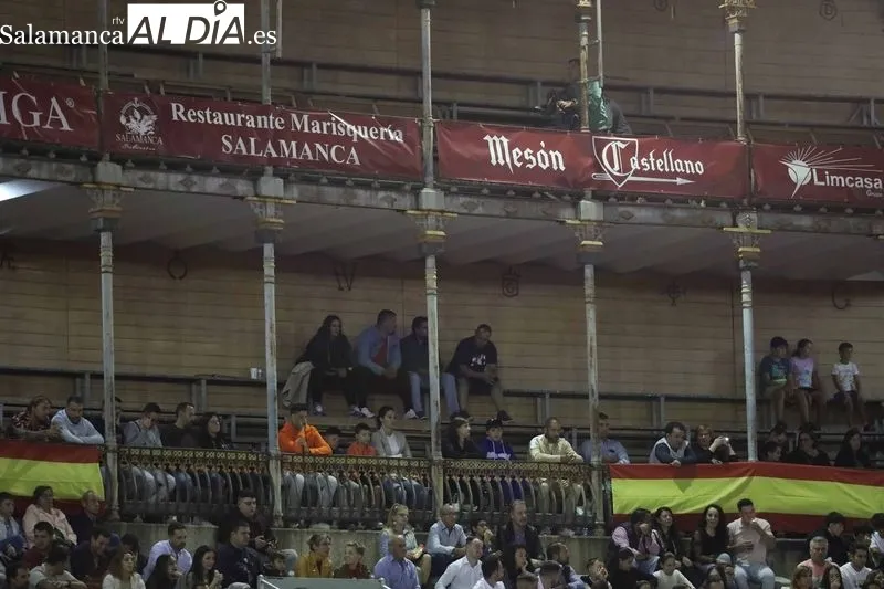 Foto 34 - El salmantino V&iacute;ctor Revesado, campe&oacute;n del concurso de recortes de La Glorieta
