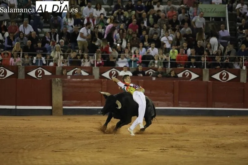 Foto 39 - El salmantino V&iacute;ctor Revesado, campe&oacute;n del concurso de recortes de La Glorieta