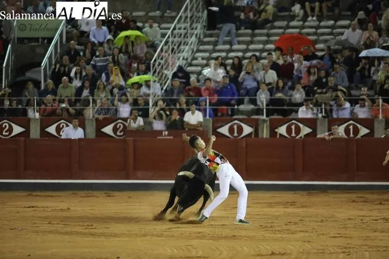 Foto 40 - El salmantino V&iacute;ctor Revesado, campe&oacute;n del concurso de recortes de La Glorieta