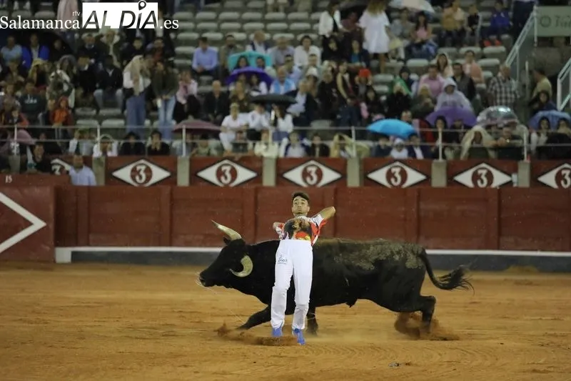 Foto 41 - El salmantino V&iacute;ctor Revesado, campe&oacute;n del concurso de recortes de La Glorieta
