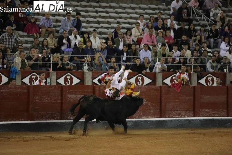 Foto 48 - El salmantino V&iacute;ctor Revesado, campe&oacute;n del concurso de recortes de La Glorieta