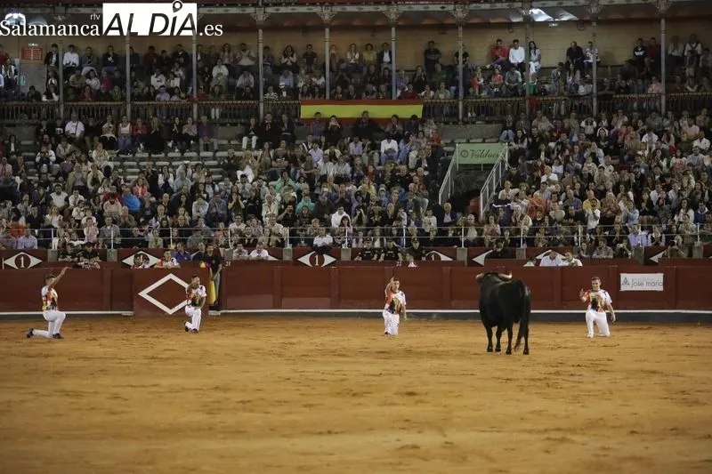 Foto 60 - El salmantino V&iacute;ctor Revesado, campe&oacute;n del concurso de recortes de La Glorieta