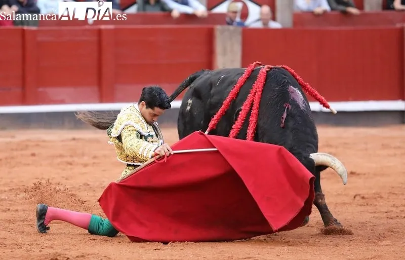 Foto 11 - Apostar y ganar 