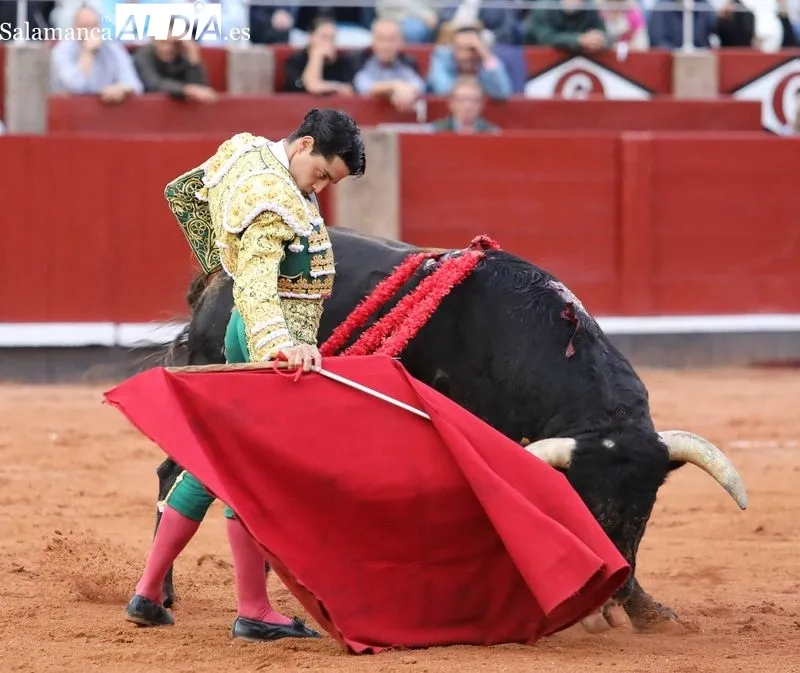 Foto 10 - Apostar y ganar 