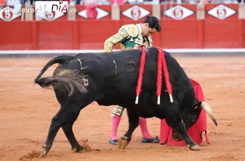 Foto 9 - Apostar y ganar 
