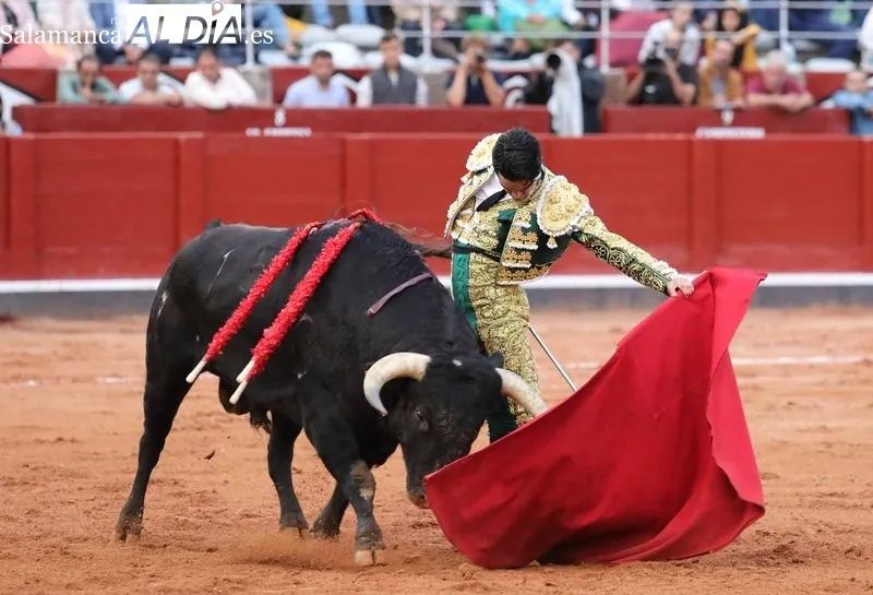 Foto 8 - Apostar y ganar 