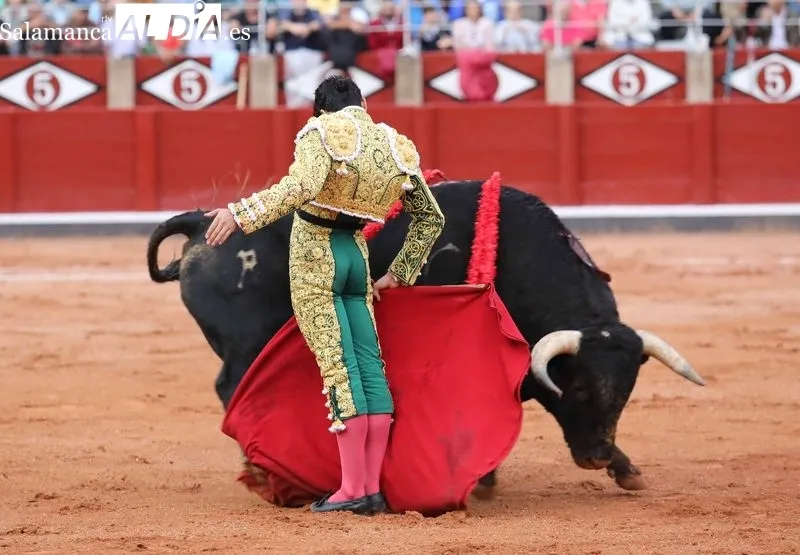 Foto 7 - Apostar y ganar 