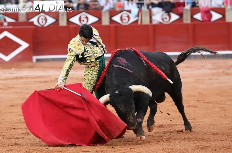 Foto 6 - Apostar y ganar 