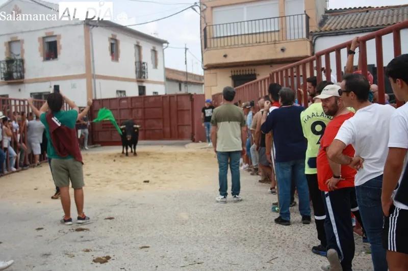 Macotera vivía este sábado el I Toro de Cajón en las fiestas de la virgen de la encina