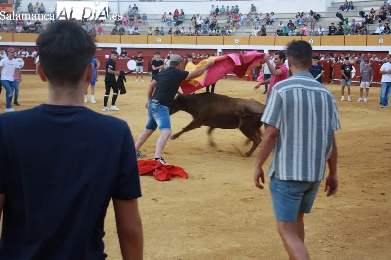 La Plaza de toros de Macotera vivía una animada tarde de vaquillas