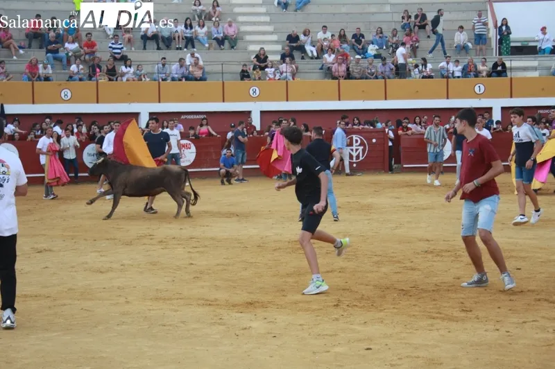 La Plaza de toros de Macotera vivía una animada tarde de vaquillas