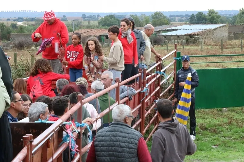 Emocionante encierro a caballo con novillos de José Cruz en Bañobárez / CORRAL Y SÁNCHEZ