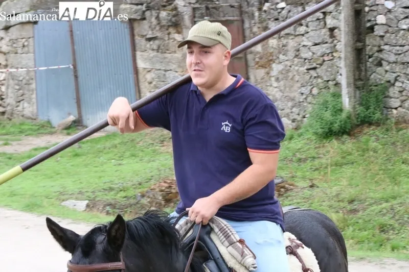 Emocionante encierro a caballo con novillos de José Cruz en Bañobárez / CORRAL Y SÁNCHEZ