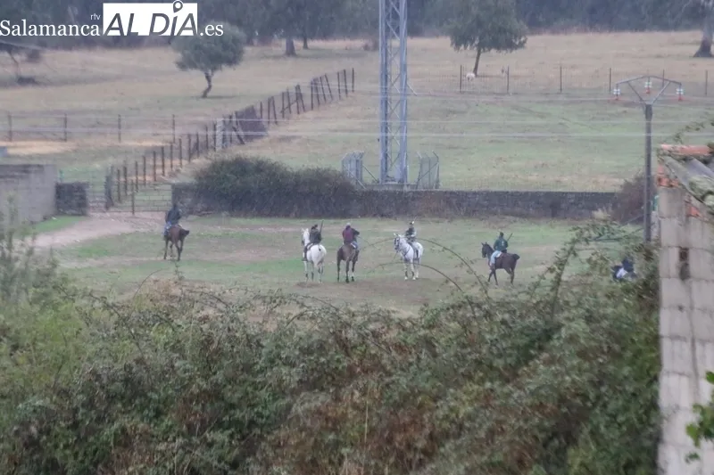 Emocionante encierro a caballo con novillos de José Cruz en Bañobárez / CORRAL Y SÁNCHEZ