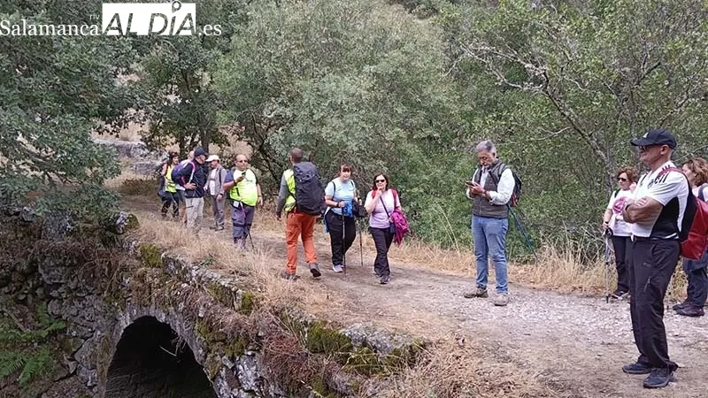 Foto 6 - La quinta edici&oacute;n de &ldquo;La Salamanquesa&rdquo; esquiva el mal tiempo y transporta a sus participantes a otros tiempos