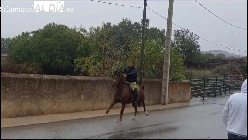La lluvia deslució el primer encierro a caballo de las fiestas en Barruecopardo 