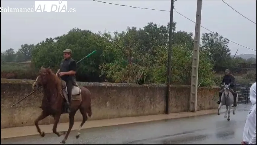 La lluvia deslució el primer encierro a caballo de las fiestas en Barruecopardo 