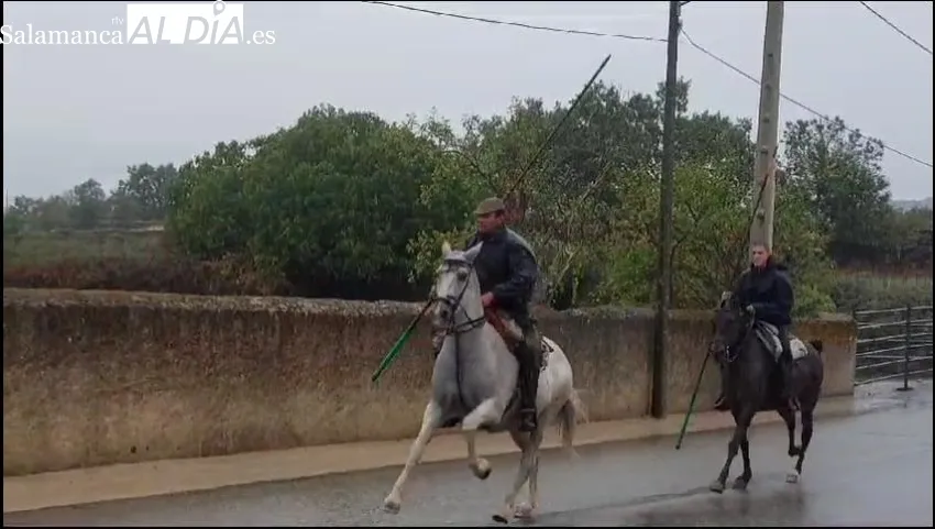 La lluvia deslució el primer encierro a caballo de las fiestas en Barruecopardo 