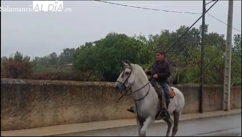 La lluvia deslució el primer encierro a caballo de las fiestas en Barruecopardo 