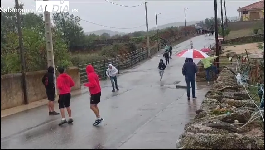 La lluvia deslució el primer encierro a caballo de las fiestas en Barruecopardo 