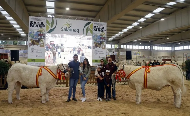 Foto 5 - Resultados de los concursos de ganado celebrados este domingo en Salamaq