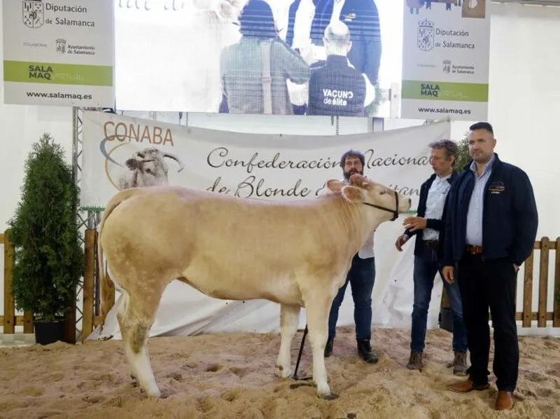 Foto 4 - Resultados de los concursos de ganado celebrados este domingo en Salamaq