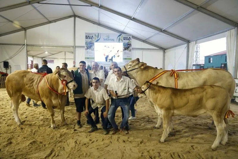 Foto 2 - Resultados de los concursos de ganado celebrados este domingo en Salamaq