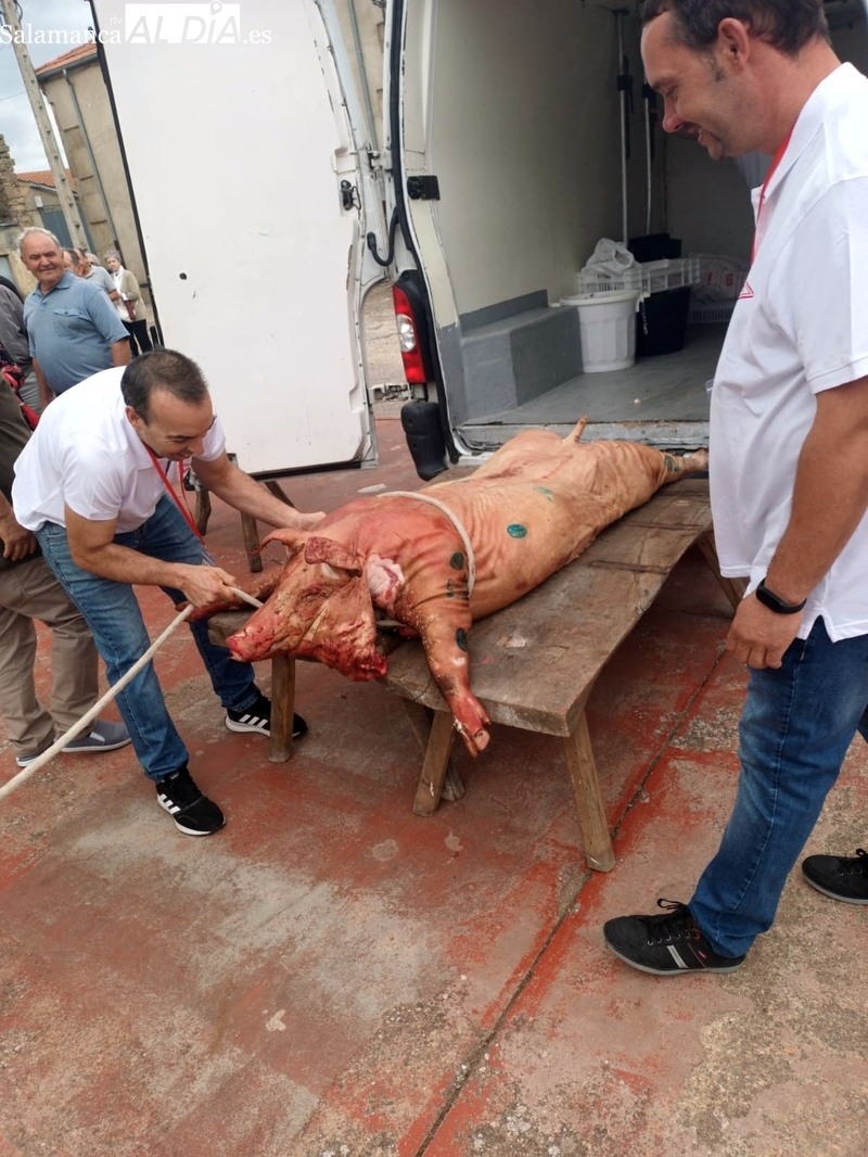 Jamones Pepiño regala un día de fiesta a los vecinos de Bañobárez con una matanza tradicional 