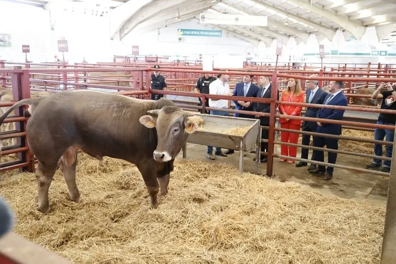 Animales expuestos en la feria Salamaq 2023
