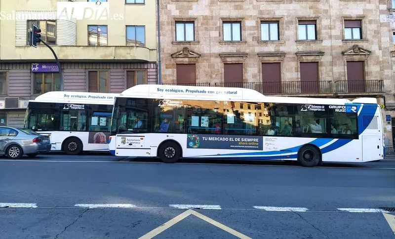 Buses urbanos de Salamanca. Foto de David Sañudo